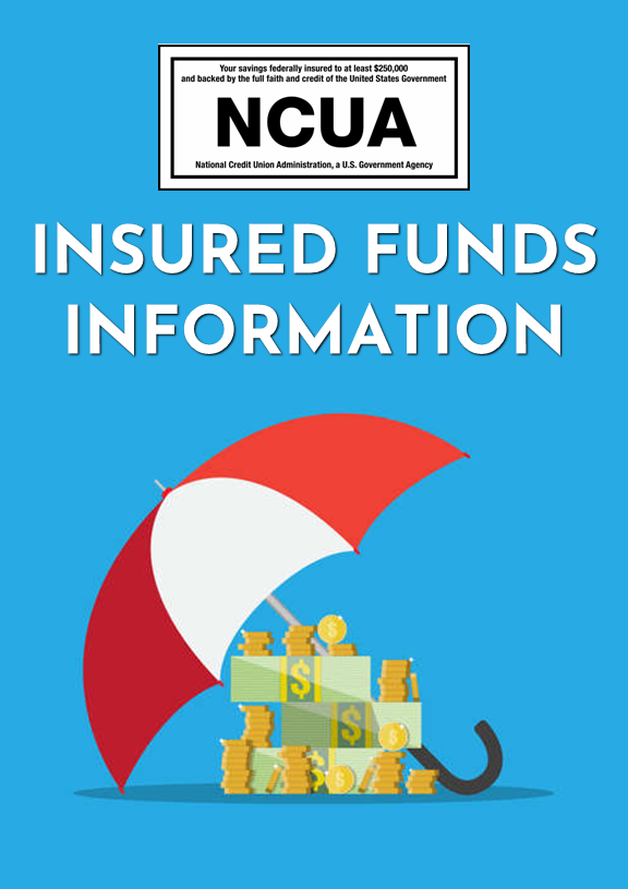 INSURED FUNDS ICON
