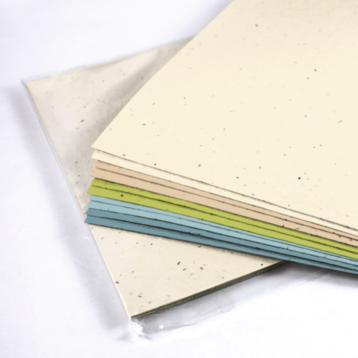 seed paper package earthy tones 1200x1200